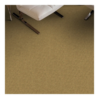 Custom Color Plain Carpet 10mm Cut Pile Carpet Residential Broadloom Carpet